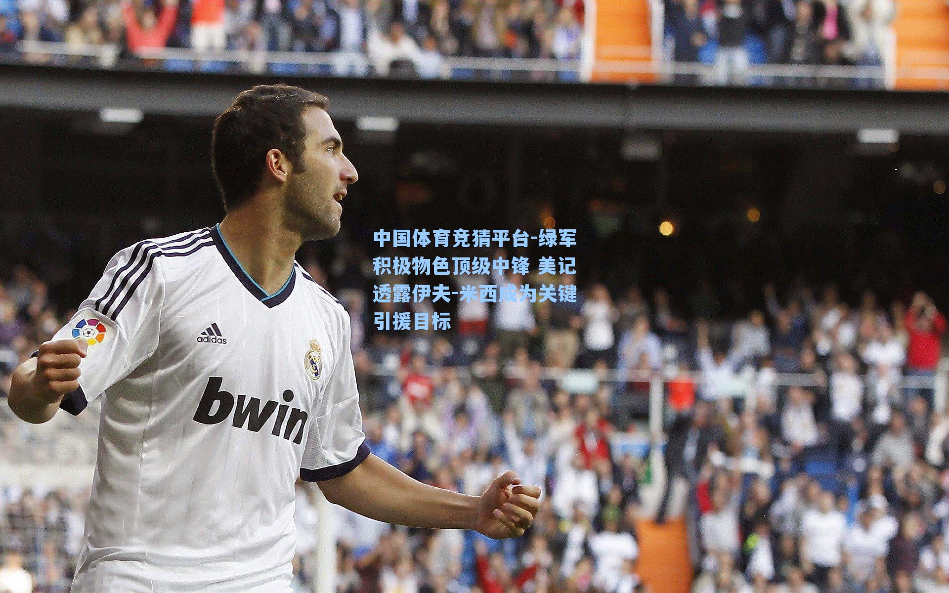 绿军积极物色顶级中锋 美记透露伊夫-米西成为关键引援目标