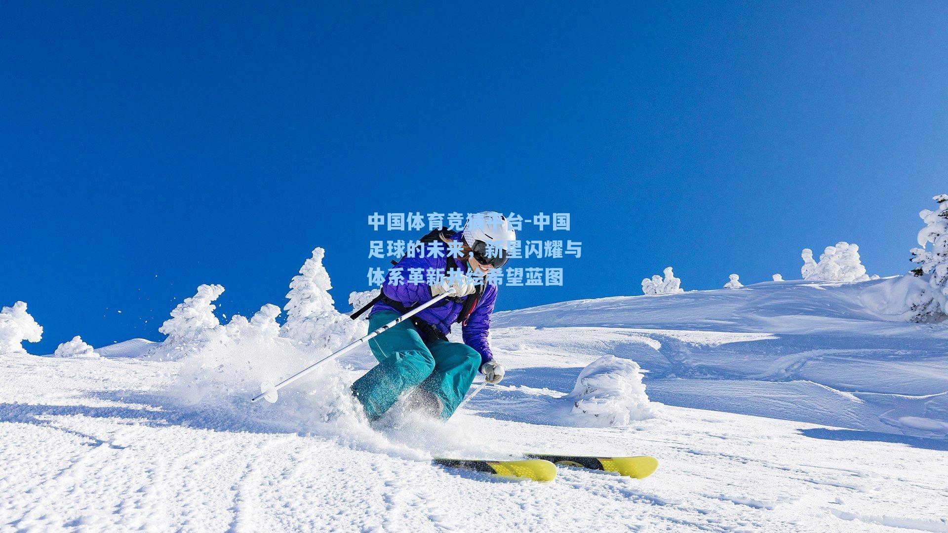中国足球的未来,新星闪耀与体系革新共绘希望蓝图